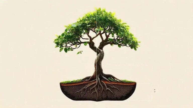 Proporção de raiz:folha ideal de 1:3 para bonsai em formação