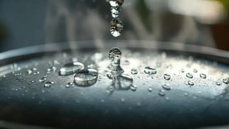 Capacidade de absorção hídrica em primeiras 48 horas pós-queima