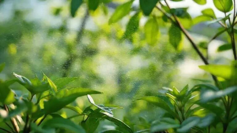 Ventilação cruzada sem corrente de ar seco para evitar ressecamento