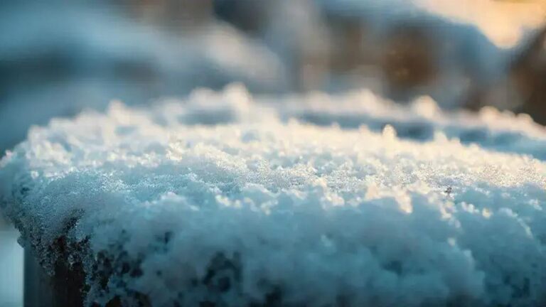 Resistência ao congelamento em regiões de inverno tropical leve