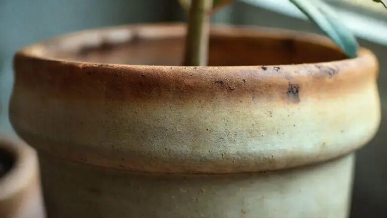 Durabilidade esperada de 15-20 anos com manutenção preventiva