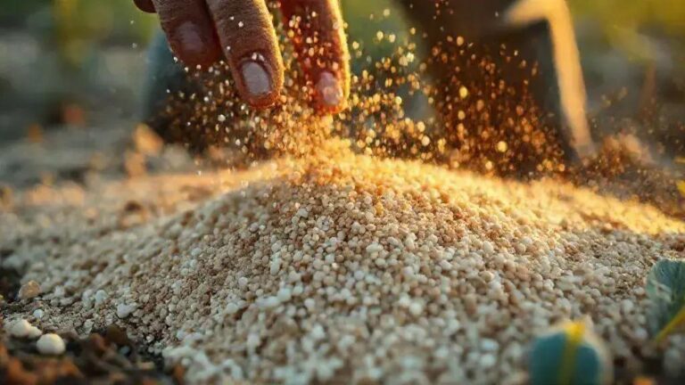 Fertilizante de liberação lenta NPK 10:6:8 aplicado a cada 45 dias