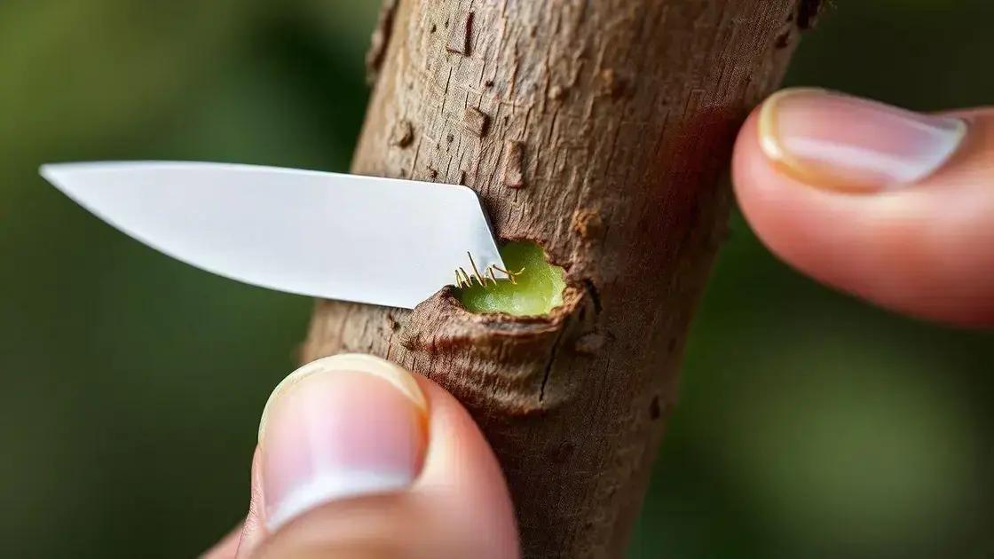  Testando o câmbio com estilete: A camada verde que provou que a árvore estava viva