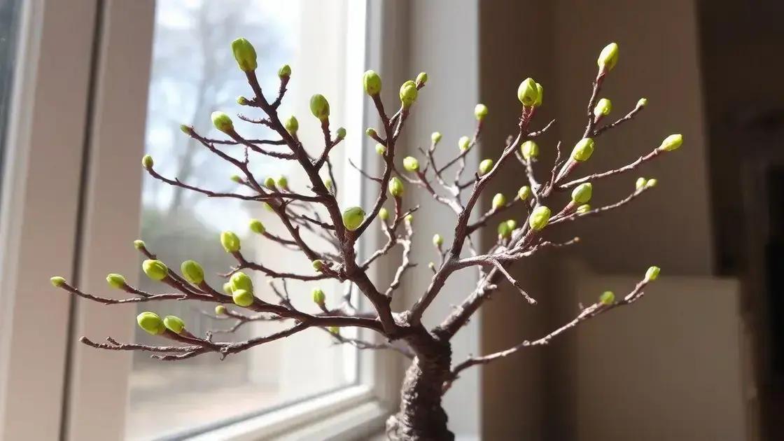  Protocolo de inverno para jacarandá: Reduzindo rega para 30% e suspendendo fertilizante por 45 dias