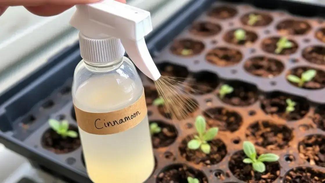  Tratamento com solução de canela: 2 colheres em 1L de água aplicado diretamente no substrato