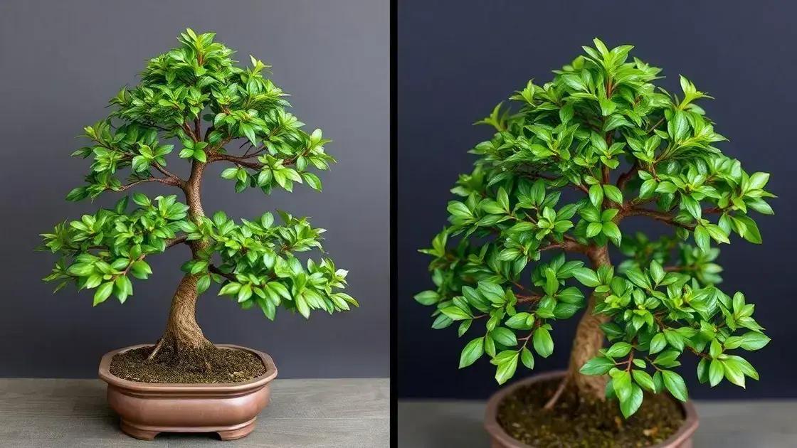  O primeiro broto no dia 9: Documentando a emergência das gemas com macro fotografia diária