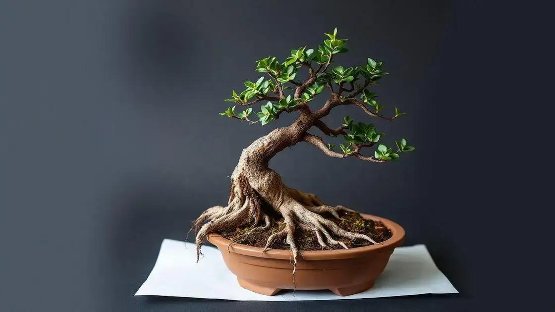  Medindo o desenvolvimento radicular aos 6 meses: A radiografia com raio X caseiro usando lâmpada forte