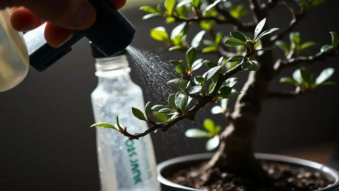  Aplicação com borrifador nas primeiras horas da manhã: O protocolo que evita queimadura por fotossensibilização