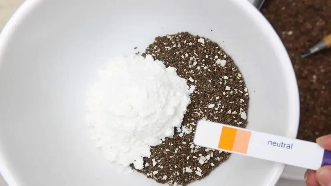  Correção com calcário dolomítico: 0.5g por litro de substrato e rega abundante para homogeneizar