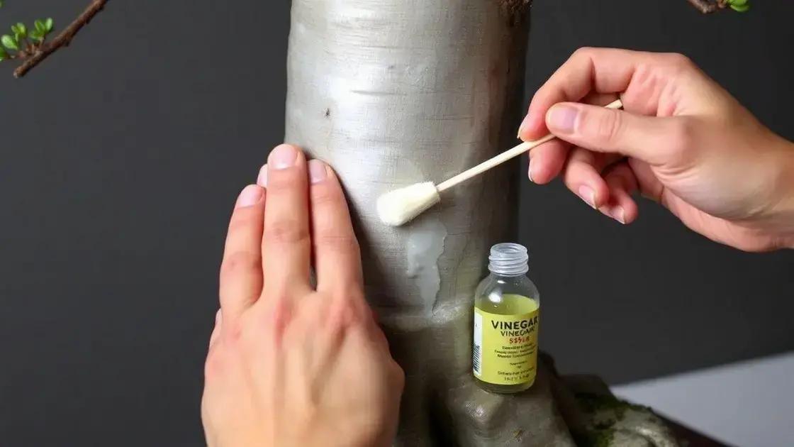  Quanto tempo leva para o alumínio oxidar em clima tropical úmido: O teste de 8 semanas com amostras