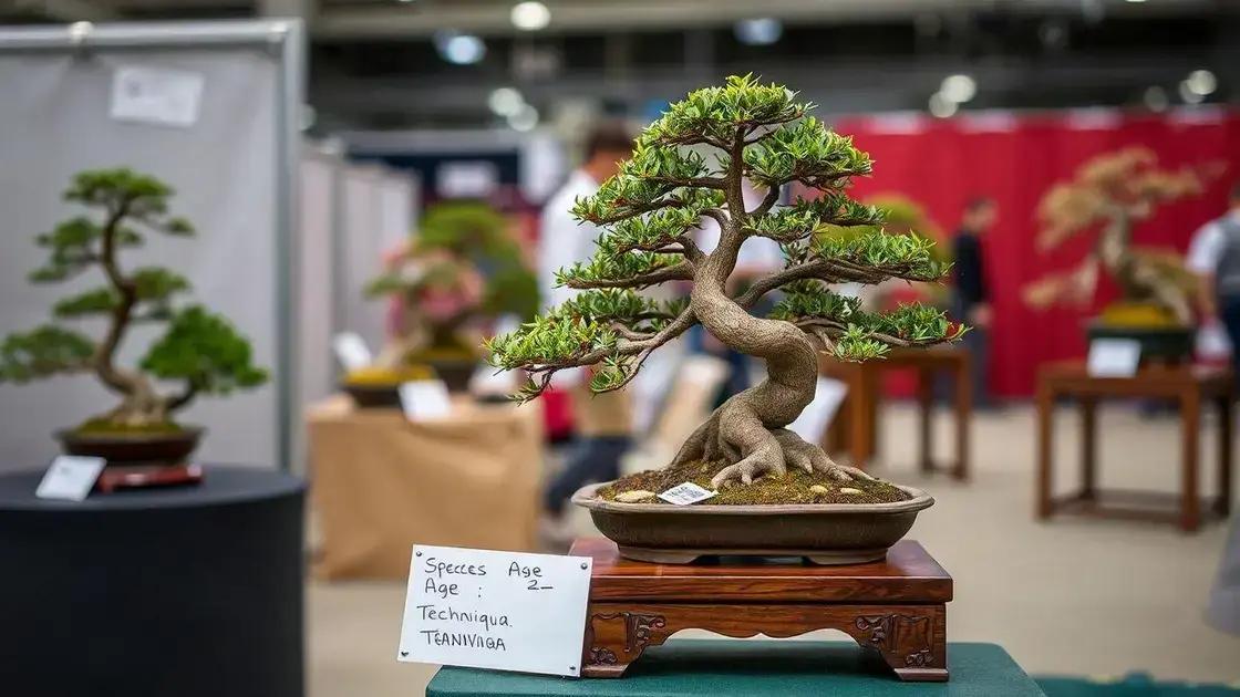  O ângulo de plantio errado para o olho do visitante: A frente do bonsai virada para o lado errado por 4 horas