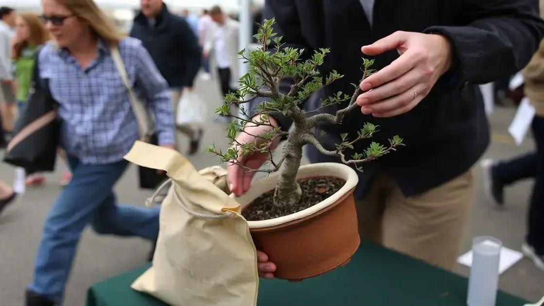  Corrigindo na hora: O replantio emergencial em 20 minutos com substrato de reserva