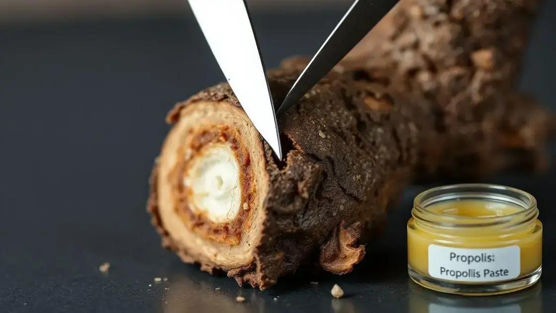  Por que raízes expostas do nebame apodrecem em clima tropical com umidade acima de 85% sem drenagem adequada